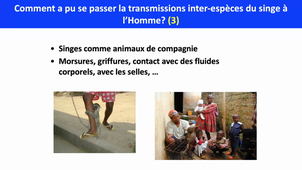 Module 1 DIU VIH, IST - Jeudi 6 novembre 2025 - Partie 2