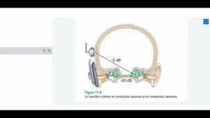 Audiometrie1A_Cours2