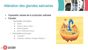 CM2517_4_2_La mastication alteration patho des struct anatomPARTIE2.mp4