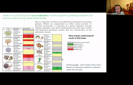 hmbe106-cours-3-ecologie-des-ecosystemes
