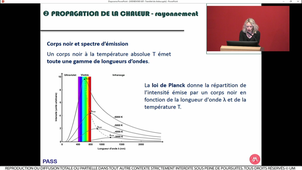 S2UE7_Wisniewski_4_25022021