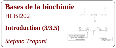 HLBI202_Intro_3 (pour Série 7)