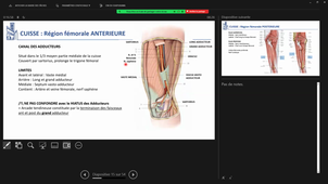 CM 10 Anatomie_Appareil Locomoteur_Dr Julie MATHIEU_06102023