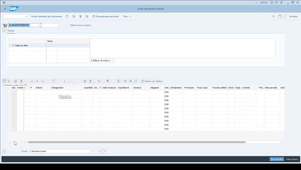 Appro 03 Création demande d'achat.mp4