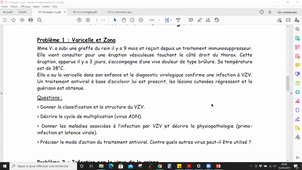 TD2 L3 viro