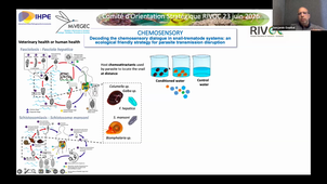 Projet Chemosensory et  Questions.mp4