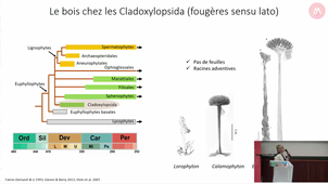 GDR Bois - Brigitte Meyer