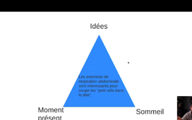 Cours 14 Bis Insomnie.mp4