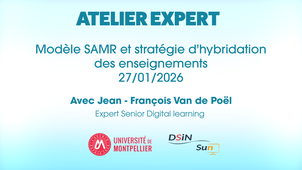 Modèle SAMR et stratégie d'hybridation
