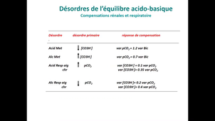 DFGSM2-K Klouche-CM21-Reins
