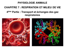 LICENCE DE BIOLOGIE Cours de Physiologie animale CHAPITRE 7 : RESPIRATION ET MILIEU DE VIE 4ème Partie : Transport et échanges des gaz respiratoires