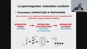 Pass UE3 ECUE3.2 - Bio cell - BMDR - Embryologie - Pr.Hamamah