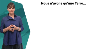 Alice BARAS - Principes de la démarche.mp4