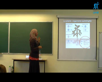 THESARD_Meriem