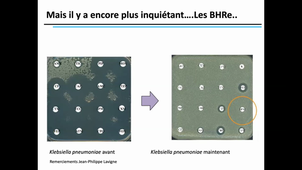 25/02/2021  OUTILS BIOTECHNOLOGIQUES POUR LE DIAGNOSTIC ET LA MEDECINE PERSONNALISEE S2 de 14h00 à 18h00.  salle 311