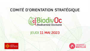 Comité d'orientation stratégique 11 mai 2023.mp4