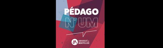 Le hackathon – faire travailler les étudiants autrement