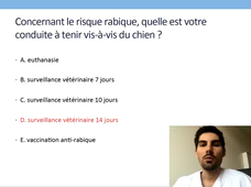 MIF CMF DP7 ITEM 330 morsure de chien chez l'enfant