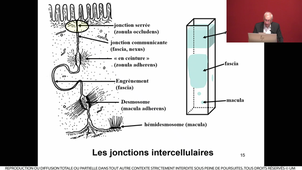 S1UE3_ECUE3.1_Lavabre-Bertrand_1_28092023