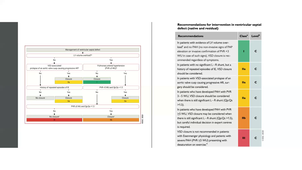 Communications inter Ventriculaires_Dr BREDY.mp4