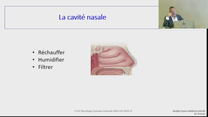 ECUE PHG - Physiologie Humaine - Pr HAYOT - 16092024