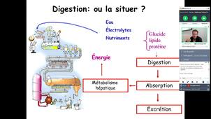 D.U PEC Obésité - S. Matecki - Digestion - ou la situer