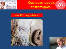 Test prémanipulatif du rachis cervical