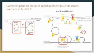 Article 3 trafic