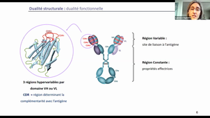 03/02/2021	14:00	15:00		Dr Gugliélmi	Amphi anatomie