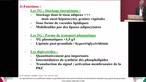 PASS - UE1 ECUE1.2 - Pr.Cristol - 06/10/2025