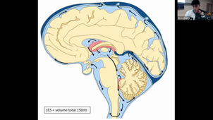 12-10-23-DFGSM2-CM12-Appareil neuro-L Berny.mp4