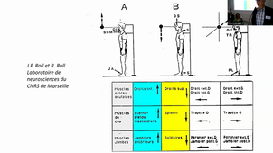 Rachis cervocal et Posture Dr Philippe MALAFOSSE.mp4
