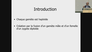 PASS - UE2 ECUE2.3 - Hamamah - 05/11/2025