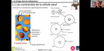 HLBE201-cours2-chap1