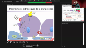 3D (bio)printing - Conception de bioencres et biomatériaux pour l'encapsulation_Gilles SUBRA