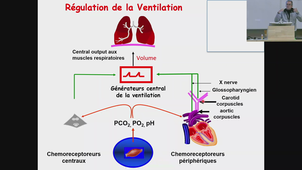 PASS UE4 - Matecki - 28/01/2026