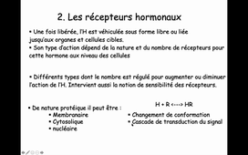 L2-TC-UE41A-Adaptations-hormonales-GPy-CM1