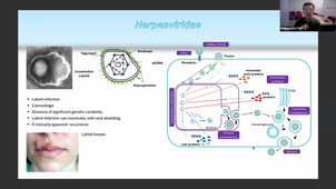 TU06- Antiviral treatment and resistance - P. COLSON - 20-01-2026.mp4