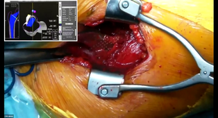 GMT20250124-075036_Recording_1998x1080.mp4