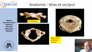 Rachis_Theorie_Cervical Anatomie RC superieur_Dumay_2020