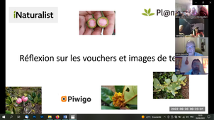 SYSTE/vouchers & images terrain 20/9/22