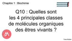 Chapitre 1 – Biochimie Q10 : Quelles sont les 4 principales classes de molécules organiques des êtres vivants ?