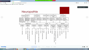 DFASM1 MID (14/10/2020) 08h X Ayrignac neurologie