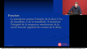 S2UE9_Egea_1_11032021