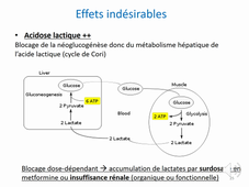 VIDEO - DFGSM3 - UE BMCTTM -médicaments du diabète - hypolipémiants - JL Faillie