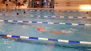 Natation Crawl Niv2+