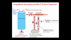 Cours1-HAV718V-Matecki-Maste1-BS