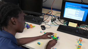 TD la résolution DNS avec des Lego