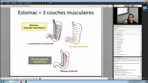 Dr Souche