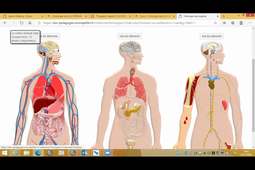 25/11/2020	13:30	15:30	DFGSM2 TP Histologie App digestif TP2	